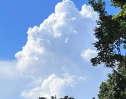 文昌天气预报,文昌7天天气预报,文昌15天天气预报,文昌天气查询